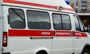 Дочь погибшего в ДТП вице-спикера петербургского ЗакСа покончила с собой