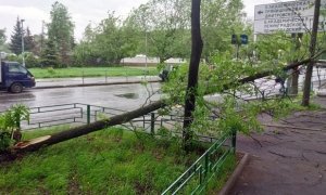 Москва потратит 76 млн рублей на систему оповещения об ураганах