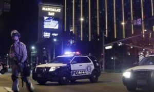 Полиция Лас-Вегаса нашла в доме стрелка из Mandalay Bay оружие и взрывчатку