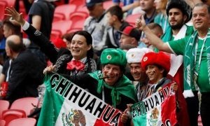 Радостные прыжки мексиканских фанатов после победы над Германией спровоцировали землетрясение