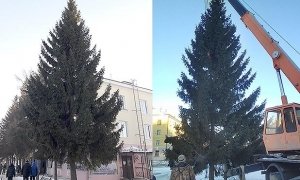 В Чебаркуле чиновника уволили с должности из-за новогодней елки