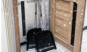 Петербургским чиновникам раздали «лопаты Беглова» для уборки снега