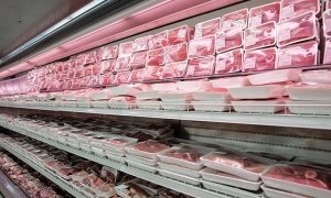 Россия запретила ввоз мяса, рыбы, молочки, овощей и фруктов из Турции