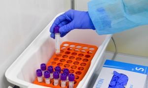 В Роспотребнадзоре сообщили о создании теста для выявления британского штамма коронавируса