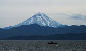 Прокуратура Камчатки проверят информацию о новом загрязнении акватории Авачинской бухты