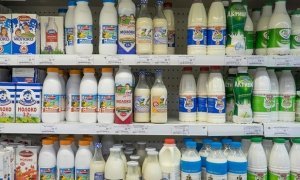 Молоко исчезнет с прилавков магазинов 