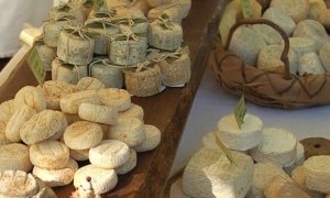 В российские магазины вернется европейский сыр и мясная продукция