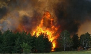 Глава МЧС взял под личный контроль тушение лесного пожара под Геленджиком