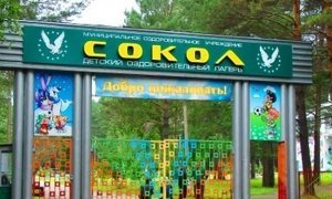 В красноярском оздоровительном лагере более 30 детей заболели дизентерией  