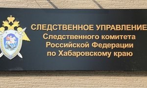 В Хабаровском крае начата доследственная проверка по факту гибели 49 человек от морозов