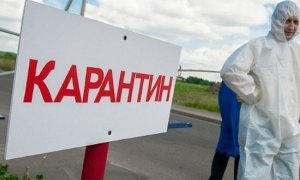 В Подмосковье на карантин направили 14 человек с подозрением на птичий грипп