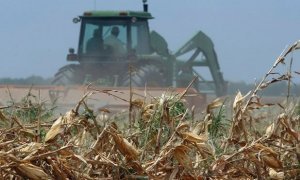 Убытки сельхозпроизводителей из-за холодного лета оценили в 2,6 млрд рублей