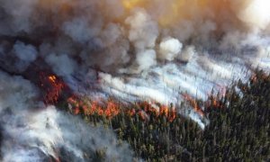 В Забайкалье из-за сильного ветра может ухудшиться ситуация с лесными пожарами