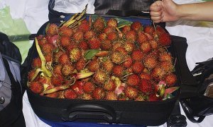 Российских пассажиров ограничили в провозе через границу фруктов, овощей и цветов