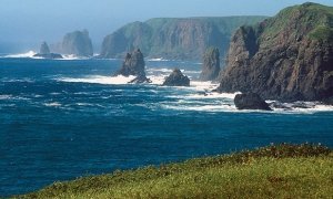 Власти Японии анонсировали переговоры с Россией о передаче двух курильских островов