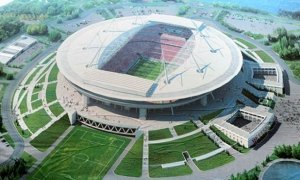 Вице-губернатор Петербурга обвинил птиц в порче крыши стадиона «Зенит-Арена»