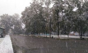 В Амурской области снегопад нарушил движение транспорта и обесточил ряд населенных пунктов