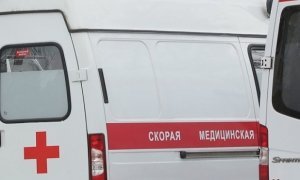 В Новгородской области медики 8 километров несли носилки с парализованной пациенткой
