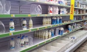 России из-за программы по импортозамещению грозит дефицит мяса, молока и сыра