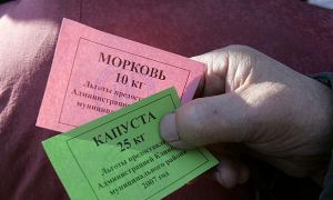 В Общественной палате предложили ввести продуктовые карточки для малоимущих россиян