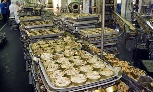 Россия с 1 августа останавливает ввоз рыбных консервов латвийских производителей