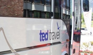 Владелец обанкротившейся туркомпании Ted Travel уехал из России