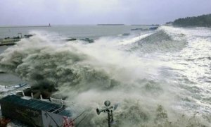 На юг Камчатского края обрушился тайфун «Санву» с ливнями и ураганным ветром