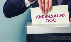 В России с начала 2021 года закрылись 724 тысячи юрлиц и ИП