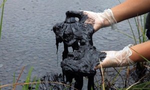«Роснефть» допустила утечку 100 тонн нефти из нефтепровода в Западной Сибири