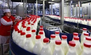 В Молочном союзе сообщили о росте цен на молочку на 10% с Нового года