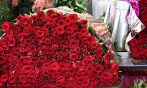 В Саратове накануне 8 марта местный житель украл 50 роз и раздал их женщинам
