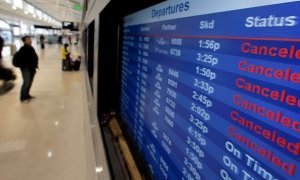 В московских аэропортах задерживаются более 30 рейсов. В «Домодедово» пассажиры устроили бунт