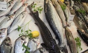 Росрыболовство откроет сеть государственных рыбных магазинов с доступными ценами  