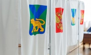 Приморский избирком аннулировал итоги второго тура губернаторских выборов
