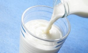 Роспотребнадзор выявил высокое содержание антибиотиков в молочной продукции