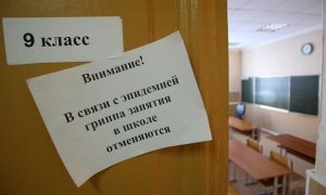 В России в связи с ростом заболеваемости гриппом закрыли около 300 школ