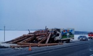 В Иркутской области в результате столкновения молоковоза и лесовоза погибли 3 человека