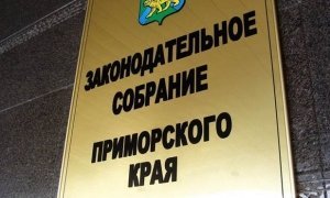 Приморские депутаты одобрили законопроект о возвращении народных выборов мэров