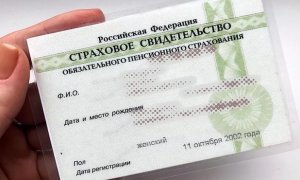 Российские власти отменили выдачу бумажных СНИЛС  