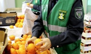 Россельхознадзор ограничит ввоз турецких продуктов в РФ из-за плохого качества