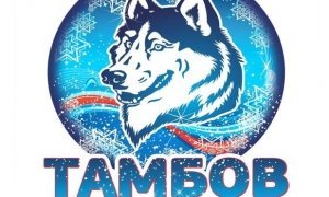 Официальным символом Нового года выбран тамбовский волк