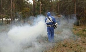 Роспотребнадзор объявил войну комарам из-за риска распространения вируса Зика