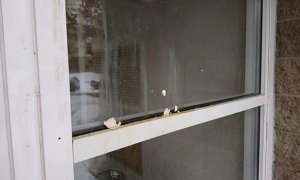  В Уфе неизвестные забросали яйцами дверь в избирательный штаб Алексея Навального