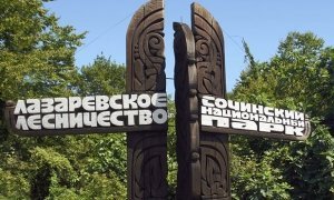 Дмитрий Рогозин отверг причастность к назначению своей племянницы главой Сочинского нацпарка