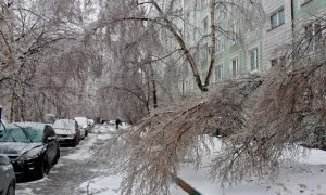 Синоптики пообещали москвичам снегопад, ледяной дождь и морозы