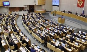 Госдума предложила расширить действие «антисиротского» закона  