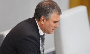 Спикер Госдумы рассказал о квартире своей матери-пенсионерки за 230 млн рублей