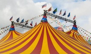 В Краснодарском крае во время представления в цирке-шапито львица напала на ребенка