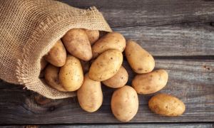 Производители предупредили Минсельхоз о дефиците картофеля