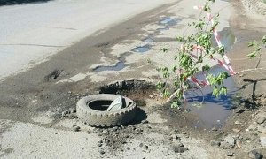 В Омской области активисты посадили в дорожных ямах молодые деревья